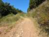 pxl_20260909_153141235_small.jpg