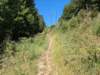 pxl_20260909_153302583mp_small.jpg