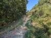 pxl_20260909_153903248_small.jpg
