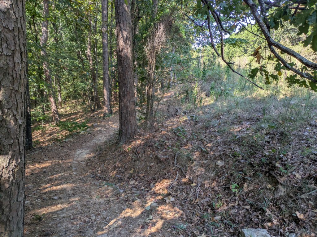 pxl_20260909_154233149.jpg