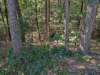pxl_20260909_154421140_small.jpg