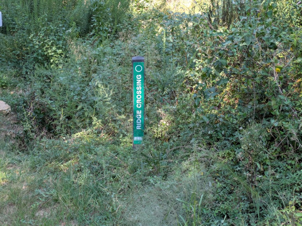 pxl_20260909_154607156.jpg