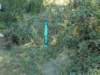 pxl_20260909_154607156_small.jpg