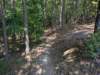 pxl_20260909_154656689_small.jpg