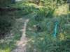 pxl_20260909_154813914_small.jpg