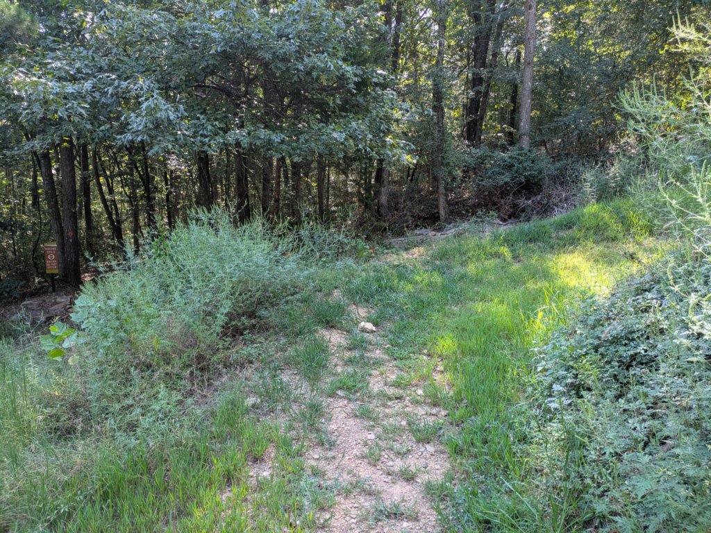 pxl_20260909_154900195.jpg