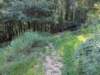 pxl_20260909_154900195_small.jpg