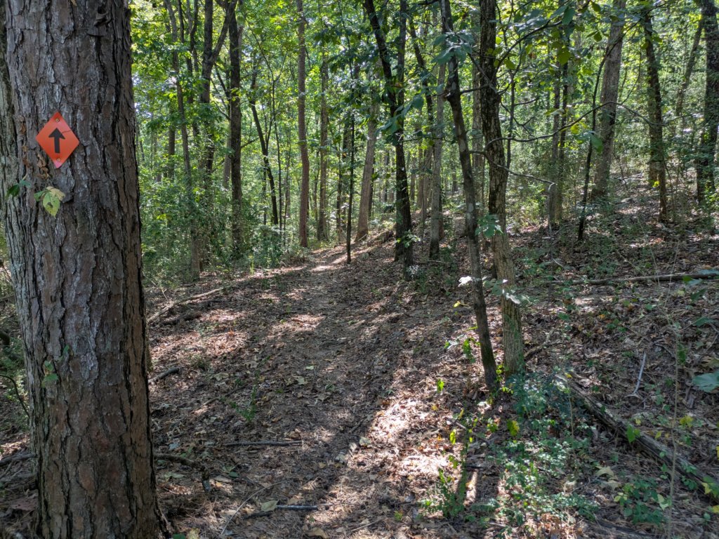 pxl_20260909_154950897.jpg