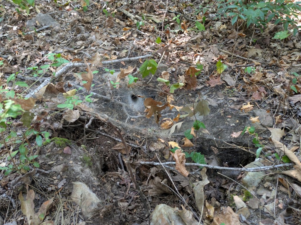pxl_20260909_155305823.jpg