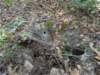 pxl_20260909_155305823_small.jpg