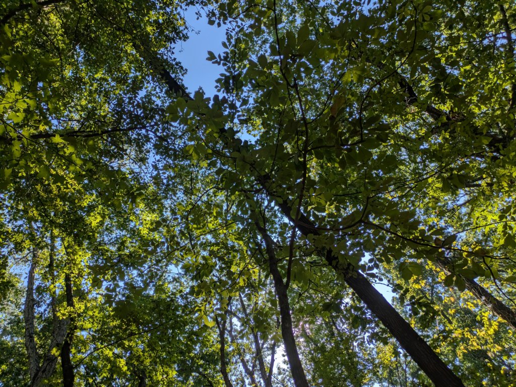 pxl_20260909_155344727mp.jpg