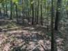 pxl_20260909_155403038_small.jpg