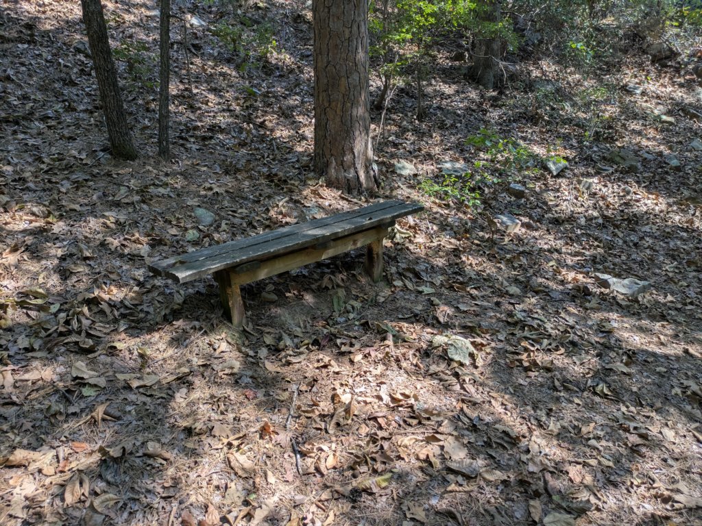 pxl_20260909_155528037mp.jpg