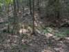 pxl_20260909_155531398_small.jpg