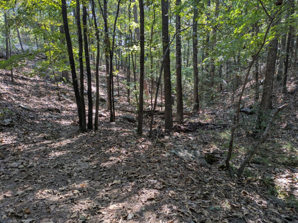 pxl_20260909_155534543.jpg