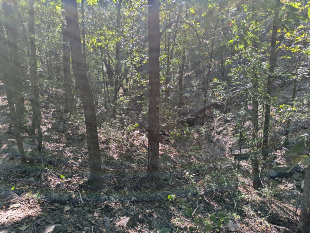 pxl_20260909_155831811.jpg