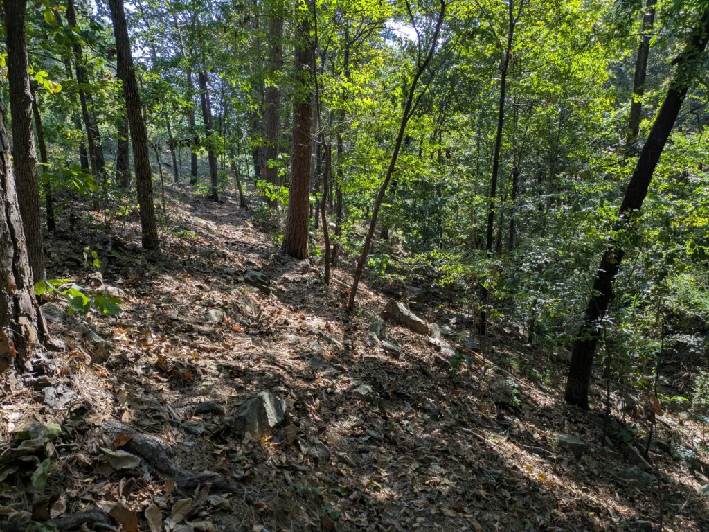 pxl_20260909_155944245.jpg