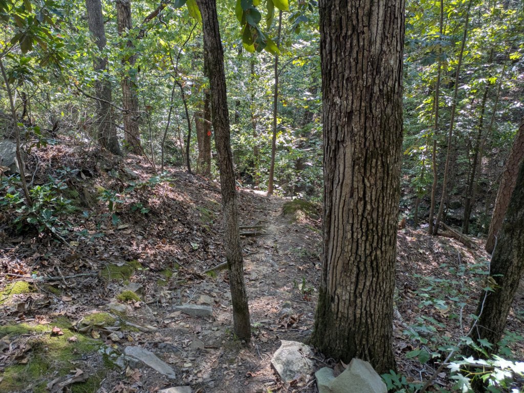 pxl_20260909_160233476.jpg