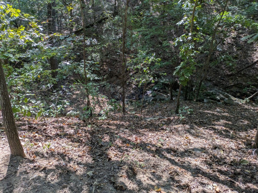 pxl_20260909_160252767.jpg