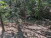 pxl_20260909_160252767_small.jpg