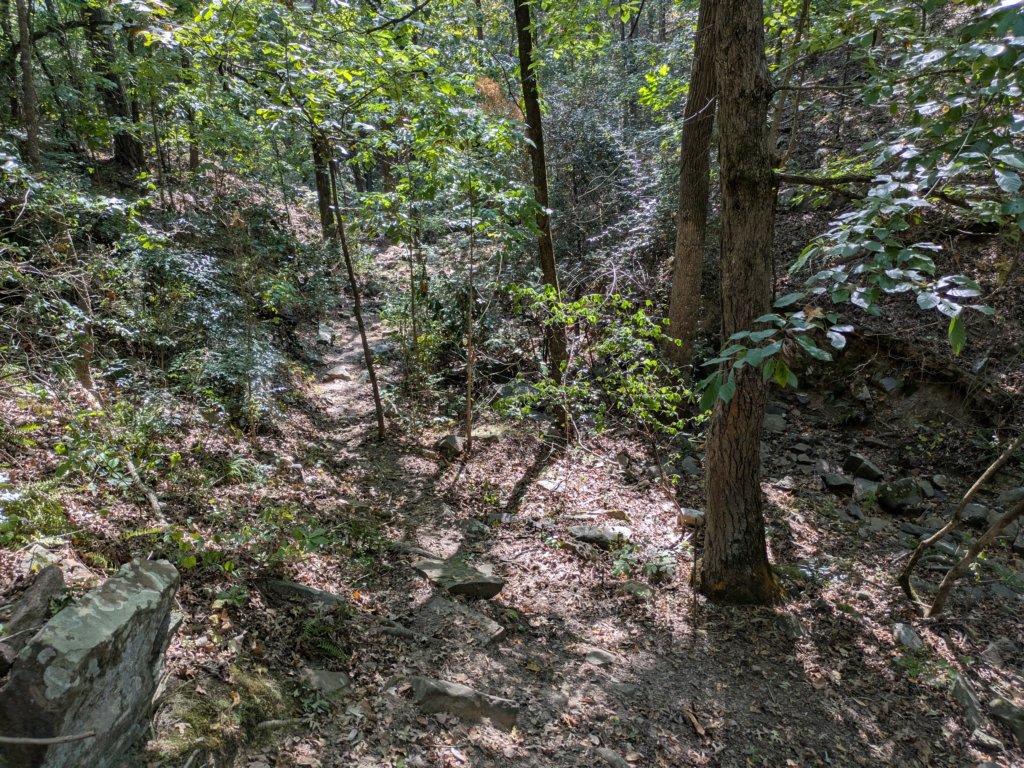 pxl_20260909_160332969.jpg