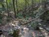 pxl_20260909_160508390_small.jpg