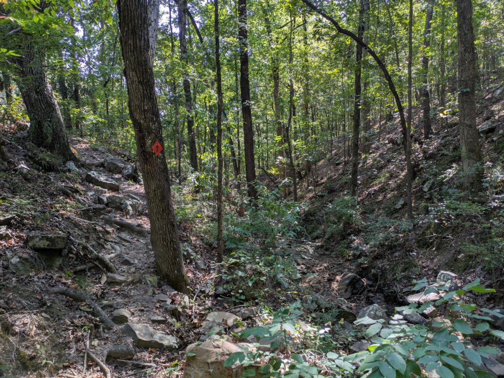 pxl_20260909_160518759.jpg