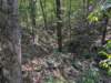 pxl_20260909_160540399_small.jpg