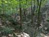 pxl_20260909_160751282_small.jpg