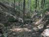 pxl_20260909_161002096_small.jpg