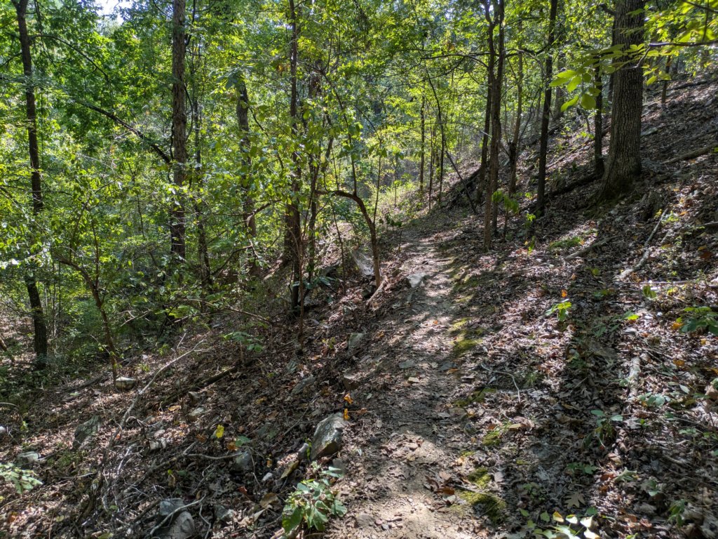 pxl_20260909_161138701.jpg