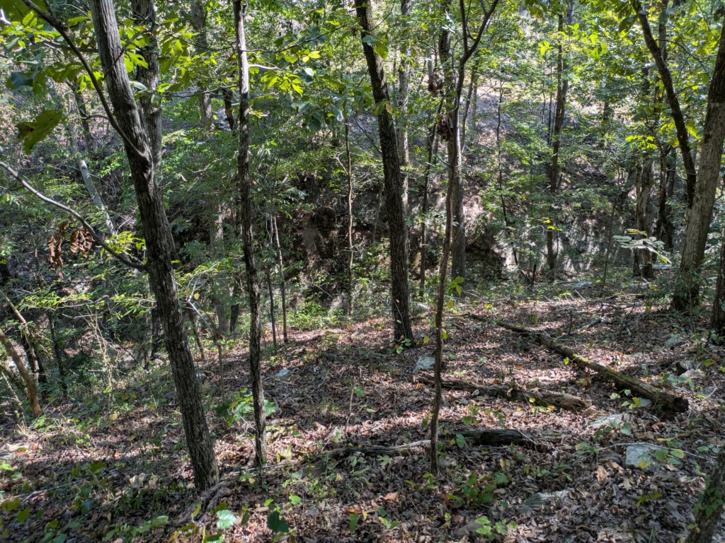 pxl_20260909_161245549.jpg