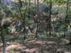 pxl_20260909_161314991_small.jpg