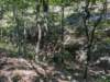 pxl_20260909_161326796_small.jpg