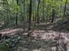 pxl_20260909_161400358_small.jpg