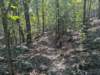 pxl_20260909_161435411_small.jpg