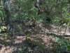 pxl_20260909_161452813_small.jpg