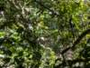 pxl_20260909_161640970_small.jpg