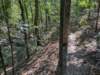 pxl_20260909_161837561_small.jpg