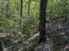 pxl_20260909_161921407_small.jpg
