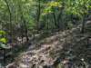 pxl_20260909_161955589_small.jpg
