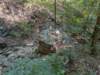 pxl_20260909_162040384_small.jpg