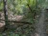 pxl_20260909_162107872_small.jpg