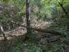pxl_20260909_162110036_small.jpg