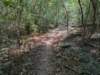 pxl_20260909_162130107_small.jpg