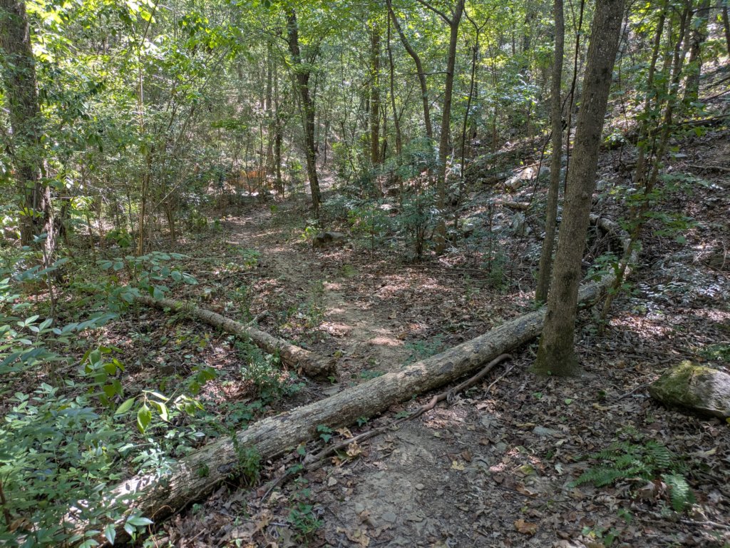 pxl_20260909_162241686.jpg