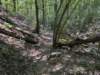 pxl_20260909_162414438_small.jpg