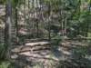 pxl_20260909_162552727_small.jpg