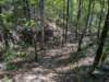pxl_20260909_162618621_small.jpg