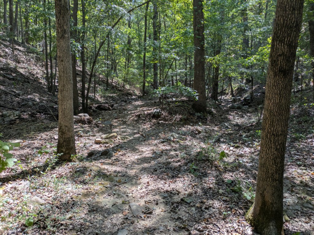 pxl_20260909_163147426.jpg